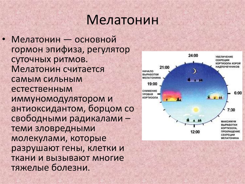 Как применяют мелатонин?