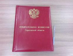 Поправки. Облизбирком не подтвердил ни одну из 65 жалоб