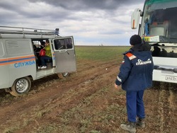 В тюльпанной степи застрял автобус с туристами