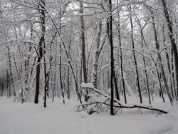 Возможен небольшой снег