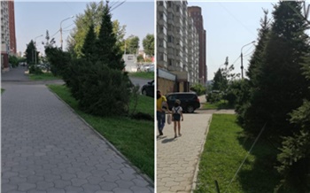 Красноярская мэрия показала доказательства избавления улиц города от недочётов