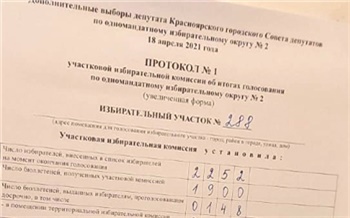 В красноярском избиркоме прокомментировали многочисленные жалобы на довыборы депутата Горсовета