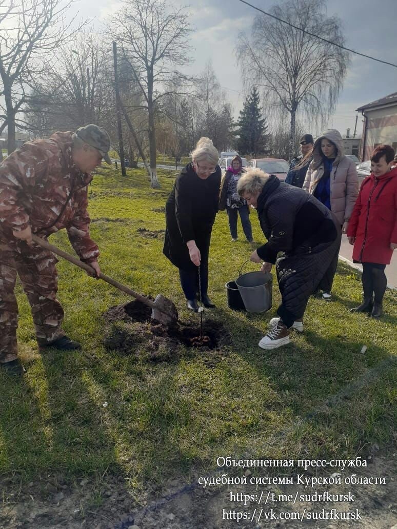 В Курской области высаживают «Сад памяти»