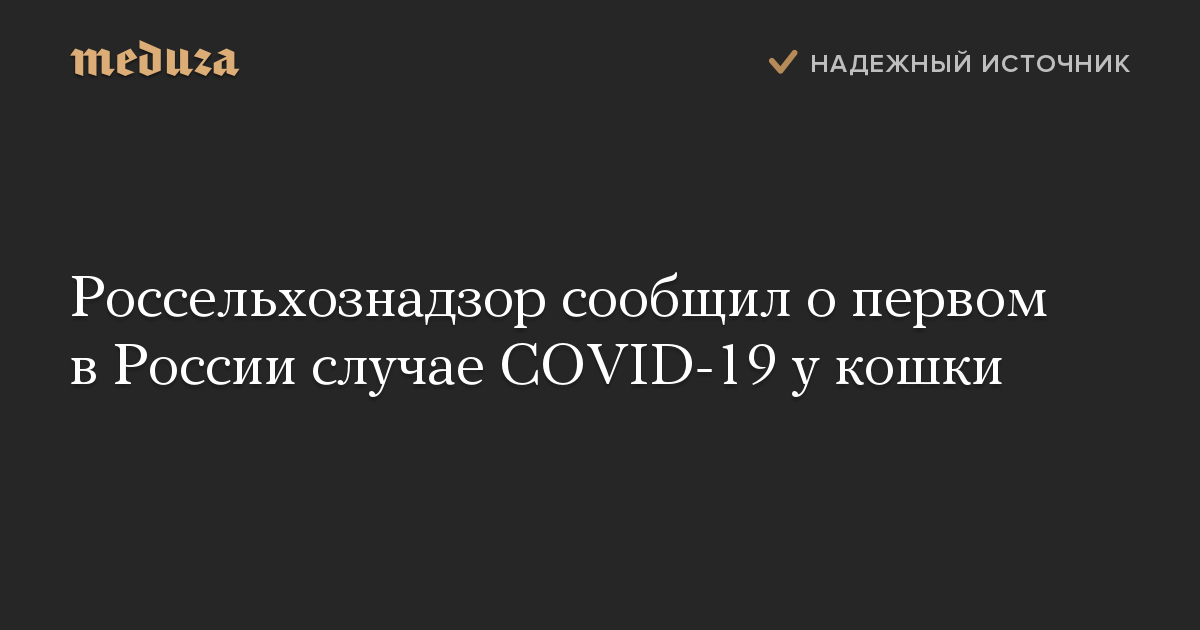 Россельхознадзор сообщил о первом в России случае COVID-19 у кошки