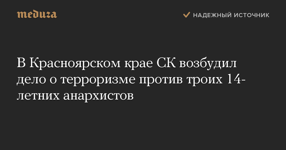 В Красноярском крае СК возбудил дело о терроризме против троих 14-летних анархистов