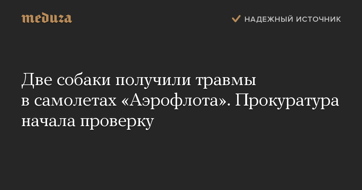 Две собаки получили травмы в самолетах «Аэрофлота». Прокуратура начала проверку