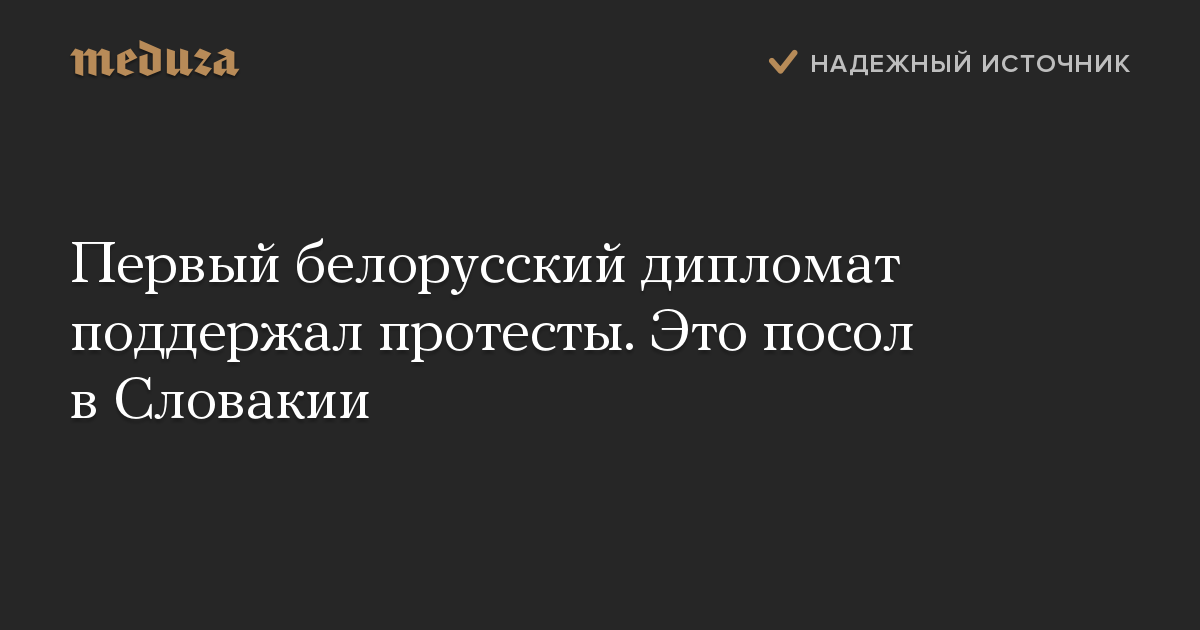 Первый белорусский дипломат поддержал протесты. Это посол в Словакии