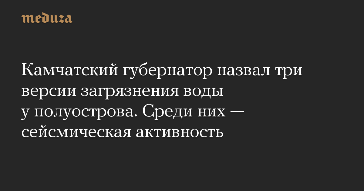 Камчатский губернатор назвал три версии загрязнения воды у полуострова. Среди них — сейсмическая активность