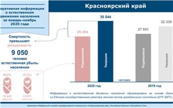 За 11 месяцев 2020 года в Красноярском крае умерло 35,5 тысяч человек