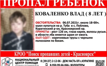 Следователи рассказали подробности исчезновения 7-летнего мальчика в Курагинском районе