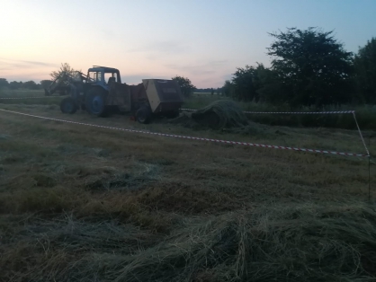 В Курской области выясняют подробности гибели тракториста