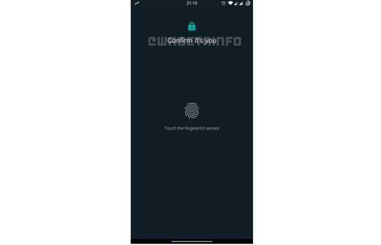 В веб-версии WhatsApp появится поддержка биометрической аутентификации