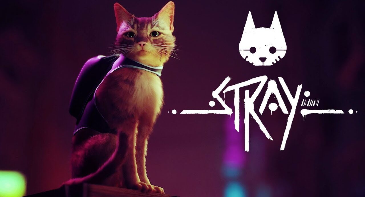 Кибернетический город, стелс и дружелюбный дрон: первые подробности Stray — приключения о бродячем коте