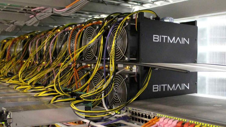 Власти Тайваня обвинили китайскую компанию Bitmain в охоте за ценными кадрами