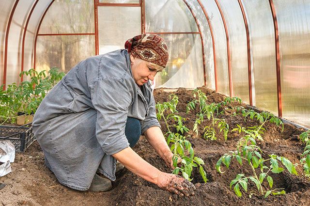 Пора борьбы. На чём сосредоточиться дачнику в конце весны и начале лета?