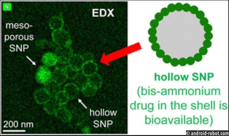 Разрабатывают новую наночастицу для точной доставки лекарств