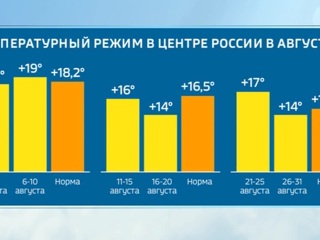 Погода 24. Аномалии и арктические вторжения: прогноз погоды на август