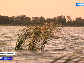 Вести в 20:00. Уровень воды в Цимлянском водохранилище за неделю упал на 10 сантиметров