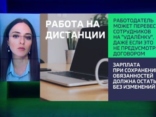 Условия перехода на удаленку обрастают конкретикой. Новости на 'России 24'