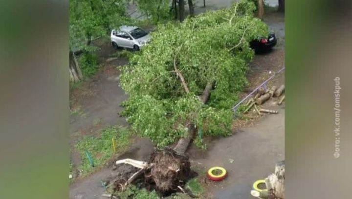 В Омском регионе устраняют последствия мощного урагана