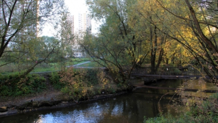 На северо-западе Москвы нашли голову мужчины