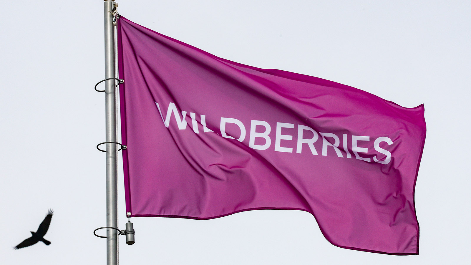 Сооснователь Wildberries Сергей Ануфриев — Forbes: «Это изначально семейный бизнес»