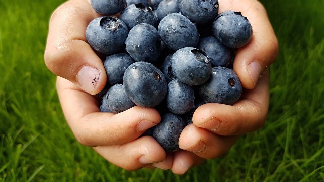 Milliyet (Турция): 10 научно доказанных антивозрастных продуктов, которые помогают оставаться молодым