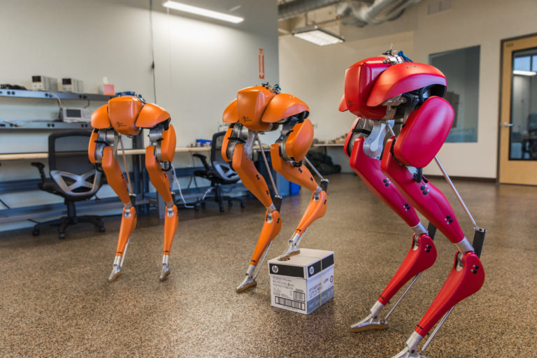 Agility Robotics Cassie: Boston Dynamics напряглись?