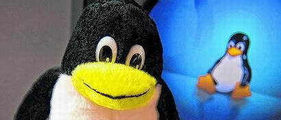 Крупного разработчика Linux изгнали из сообщества за издевательские эксперименты над пользователями