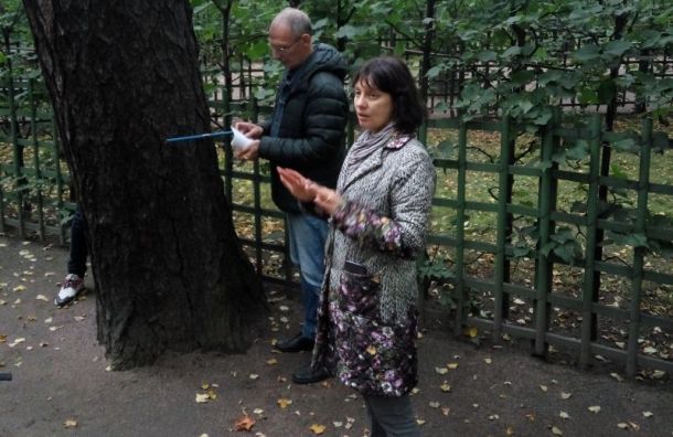 Старый дуб обретёт возраст