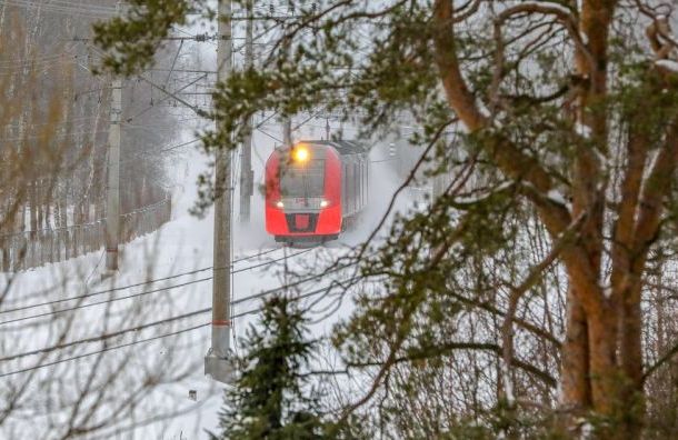 'Ласточки' из Петербурга в Лугу будут делать остановку в Толмачево