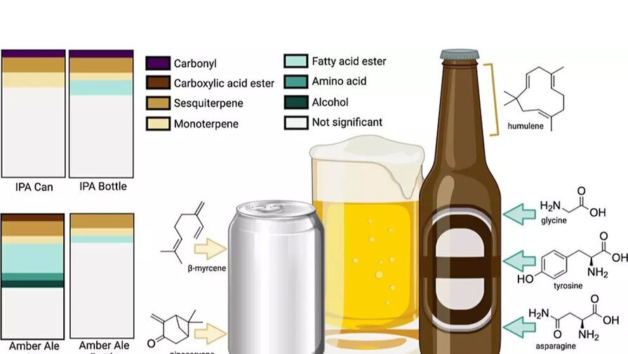 Химики выяснили, какая тара лучше подходит крафтовому пиву