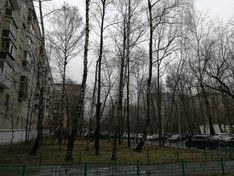 Почти 400 тыс. заявок москвичей выполнили социальные помощники за два месяца