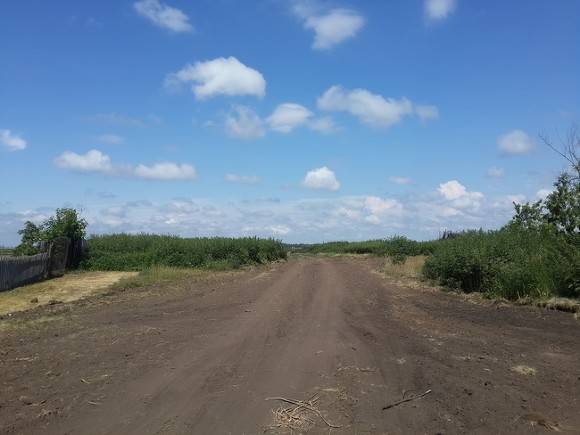 В Крыму возбуждено дело против пьяного, сбившего троих детей