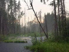 Нашелся пропавший в мае в Латвии неуправляемый дрон