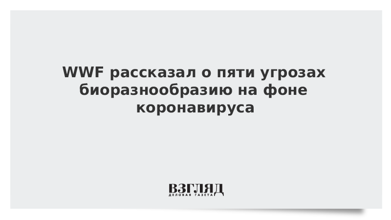 WWF рассказал о пяти угрозах биоразнообразию на фоне коронавируса