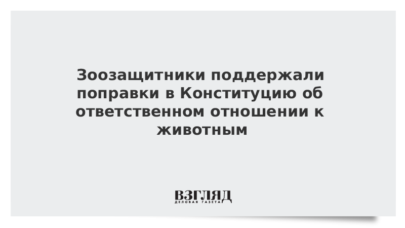 Зоозащитники поддержали поправки в Конституцию об ответственном отношении к животным