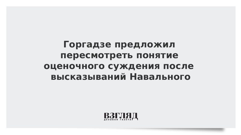 Горгадзе предложил пересмотреть понятие оценочного суждения после высказываний Навального