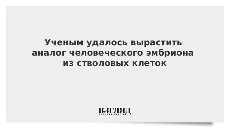 Ученым удалось вырастить аналог человеческого эмбриона из стволовых клеток