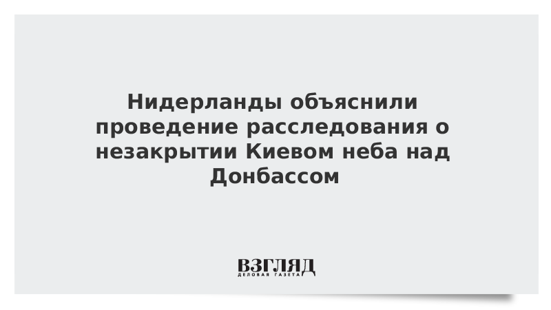 Нидерланды объяснили проведение расследования о незакрытии Киевом неба над Донбассом