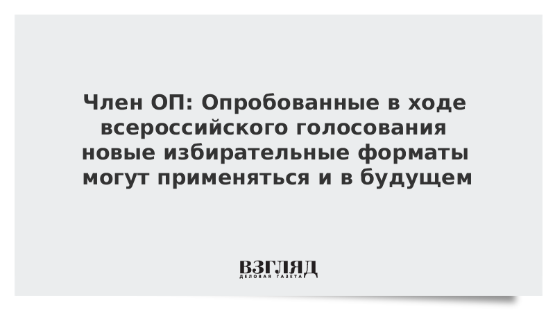 Член ОП: Опробованные в ходе всероссийского голосования новые форматы могут применяться и в будущем