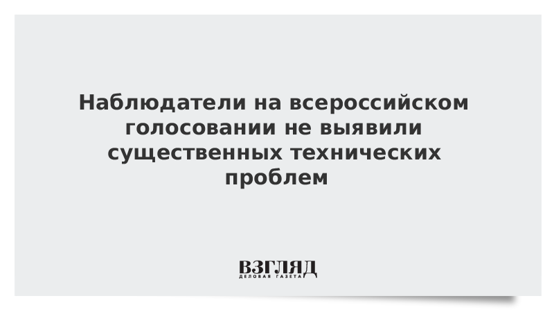 Наблюдатели на всероссийском голосовании не выявили существенных технических проблем