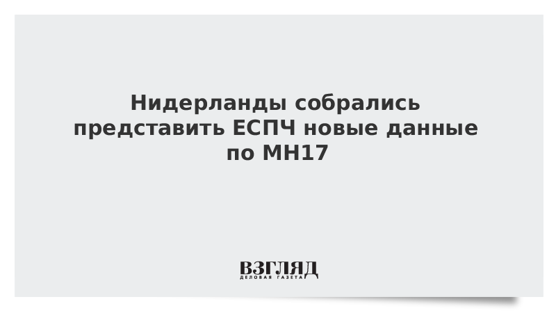 Нидерланды собрались представить ЕСПЧ новые данные по MH17