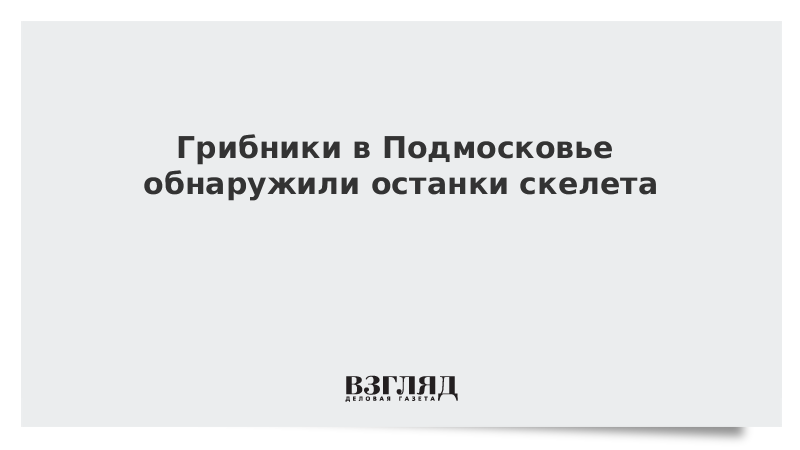 Грибники в Подмосковье обнаружили останки скелета