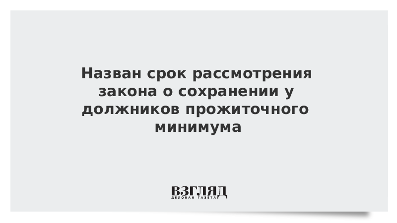 Назван срок рассмотрения закона о сохранении у должников прожиточного минимума