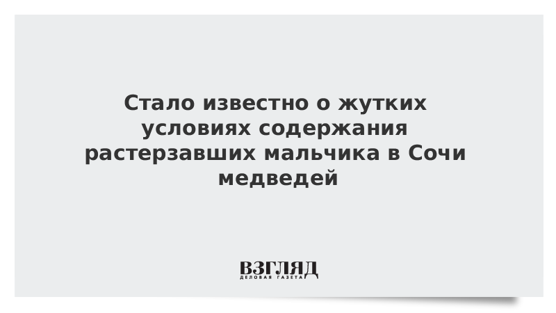 Стало известно о жутких условиях содержания растерзавших мальчика в Сочи медведей