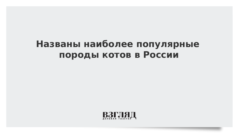 Названы самые популярные породы котов в России