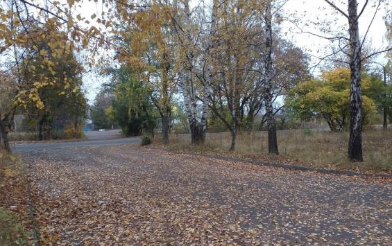 В двух городах области появятся пешеходные улицы