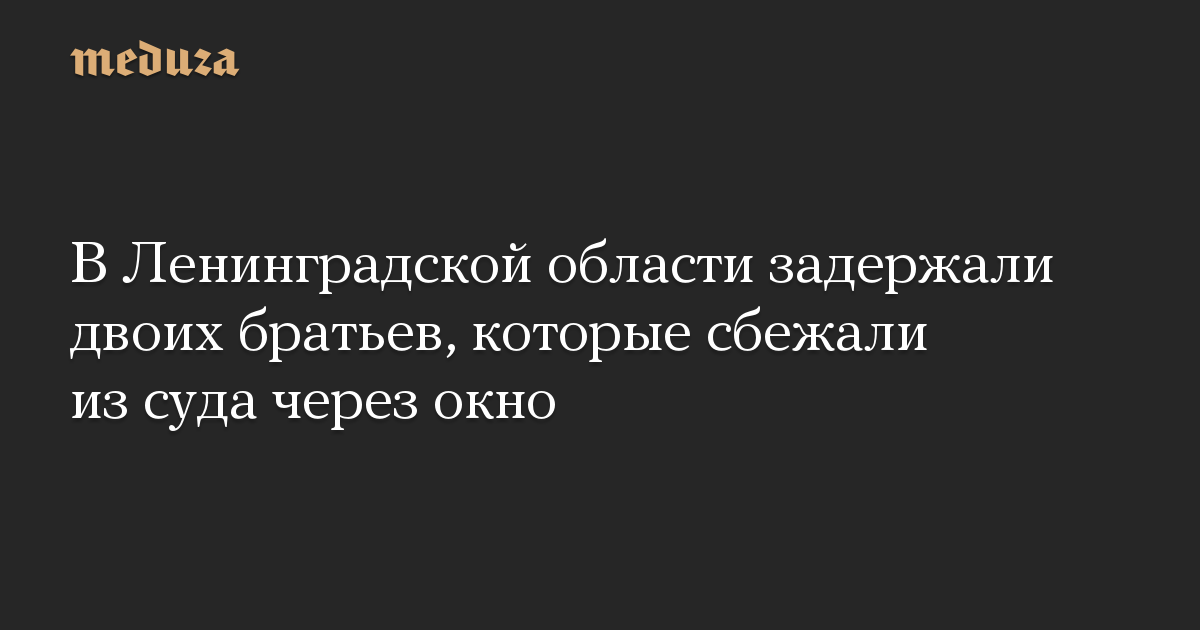 В Ленинградской области задержали двоих братьев, которые сбежали из суда через окно