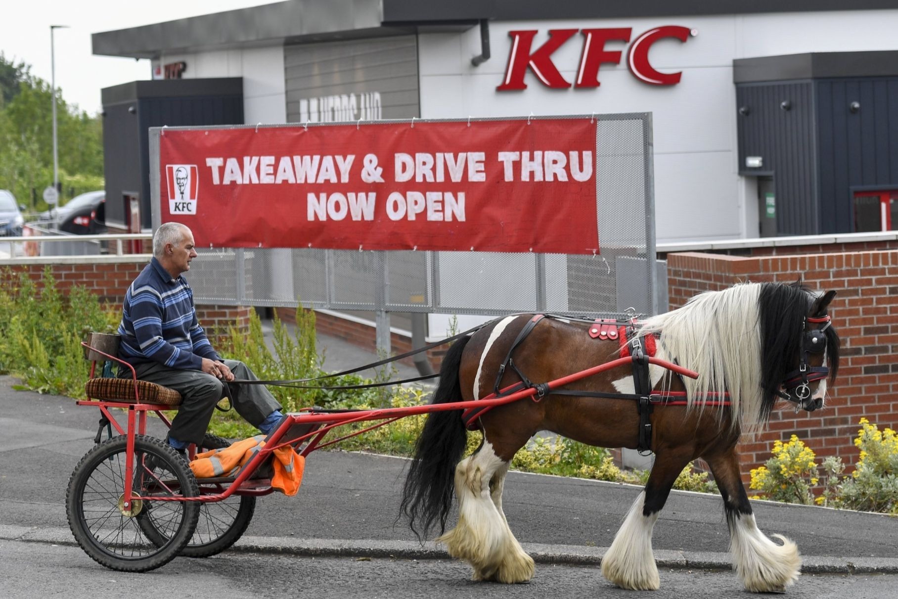 KFC отказался обслуживать мужчину на конной повозке. Зато «Макдоналдс» согласился